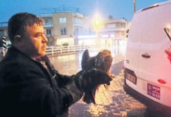 Geçmiş olsun kızıl şahin!