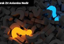 Kurak Zıt Anlamlısı Nedir? Kurağın Zıt Anlamı Olan Kelimeler
