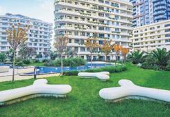 Nef’in New York satışı  21 Ocak’ta başlıyor