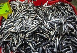 Çanakkale’de hamsi fiyatları 45 lira oldu