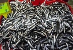 Çanakkale’de hamsi fiyatları 45 lira oldu
