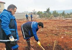Doğayla tedavi