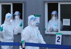 Güney Kore'de kuş gribi! 21 milyon kanatlı itlaf edildi