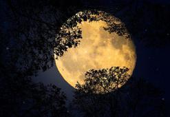 28 Ocak 2021 Perşembe burç yorumu – Günlük burç yorumları