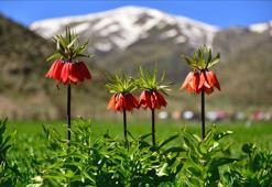 İlk cemre ne zaman, nereye düşecek? İşte 2021 birinci, ikinci ve üçüncü cemre tarihleri...