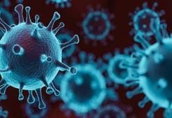 Mutasyonlu virüs hangi illerde var, belirtileri neler? E484K mutasyonlu koronavirüs nedir? İşte son dakika gelişmeleri...