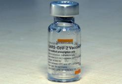 Bilim Kurulu Üyesi Taşova: Aşıya yaptırınca rehavete kapılmayın