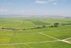 Son dakika: Hazine'den yatırımcılara destek! 49 yıl bedelsiz verildi