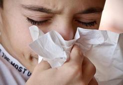 Polen Alerjisi Nedir? Polen Alerjisinin Belirtileri Ve Tedavi Yöntemleri Nelerdir?