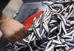 Kar sonrası hamsi fiyatları fırladı