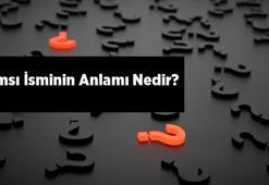 Bamsı İsminin Anlamı Nedir? Bamsı Ne Demek, Hangi Anlama Gelir?