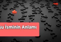 Asu İsminin Anlamı Nedir? Asu Ne Demek, Hangi Anlama Gelir?