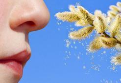 Polen alerjisine karşı rahat etmek için alınabilecek önlemler