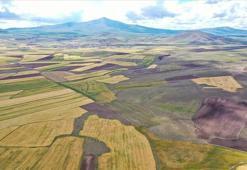 Bakan Kurum açıkladı! 49 yıl süre ile bedelsiz verildi