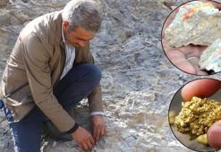 Son dakika: Ağrı'daki altın rezervinde detaylar belli oldu! Dev yatırım...
