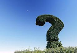 Geoit Nedir? Coğrafyada Geoit Ne Anlama Gelir?