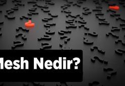 Mesh Nedir? Abdestte Mesh Etmek Nasıl Yapılır Ve Şartları Nelerdir?