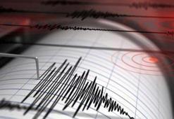 Son dakika! Yeni Zelanda açıklarında şiddetli deprem