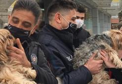 Çaldığı cins köpekleri satmaya çalışan kadın yakalandı!