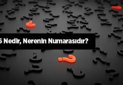 186 Nedir, Nerenin Numarasıdır? 186 Elektrik Arıza Neden Arar?