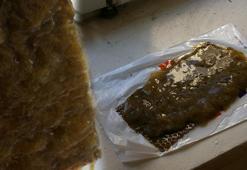 Denizi kaplayan müsilaj, balıkçının kabusu oldu!