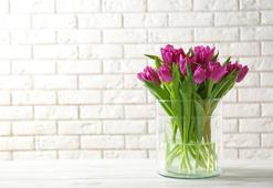 Vazoların İçleri Kolayca Nasıl Temizlenir?