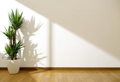 Güneş Alan Evin Avantajları Ve Dezavantajları Nelerdir?