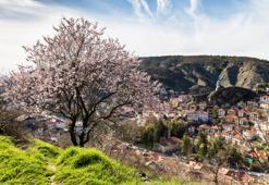 Bolu'ya Taşınmak İsteyenlerin Bilmesi Gerekenler