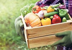 75 bin çiftçi 213 organik ürün