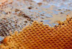 Türkiye'den 2021'in iki ayında 27 ülkeye bal satıldı