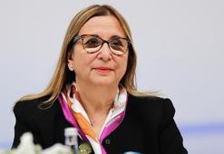 Bakan Pekcan: AB ile iş birliği büyük fayda sağlayacaktır