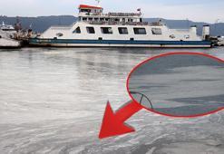 Çanakkale Boğazı’nda 'müsilaj' kabusu devam ediyor!