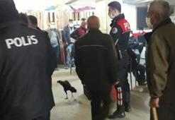 Elazığ'da horoz dövüştüren 24 kişiye baskın!