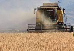 Çiftçi destek ödemesi ne zaman yatacak? 2021 Çiftçi destek ödemeleri sorgulama e - devlet ekranı