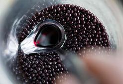 Kara Mürver Nedir, Faydaları Nelerdir? Kara Mürver Kurusu Hangi Hastalıklara İyi Gelir?