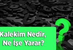 Kalekim Nedir, Ne İşe Yarar? Kalekim Nasıl Kullanılır, Çimentodan Farkları Nelerdir?