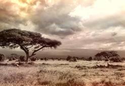 Özlem Sözleri 2026: Özlemek İle İlgili Etkileyici Güzel Sözler Ve Hasret Dolu Duygusal Mesajlar