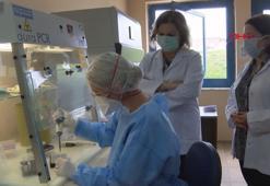 Sinovac aşısının bağışıklığı yüzde 99 kuvvetlendirdiği kanıtlandı