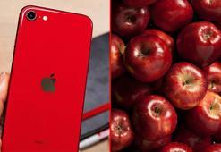 Elma siparişi verdi paketten iPhone çıktı