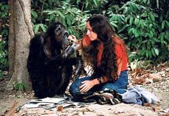 ‘Affet bizi Lucy’