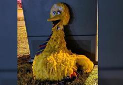 160 bin dolarlık Minik Kuş kostümü çaldılar!