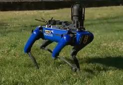 Son dakika... New York polisi, tepki çeken robot köpek "Digidog"u kullanmayacak