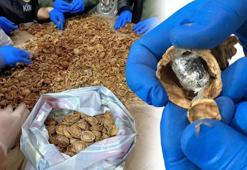 Son dakika: Şaşkına çeviren görüntü! Cevizin içine gizlemişler