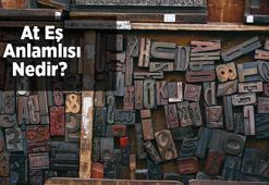 At Eş Anlamlısı Nedir? At Kelimesinin Eş Enlamı Olan Sözcükler
