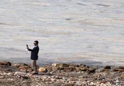 Çanakkale'de tedirgin eden görüntü! Aylardır terk etmiyor