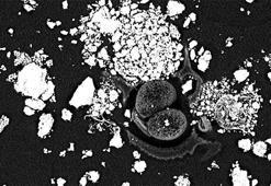 Son dakika: İstanbul'da büyük tehlike! Yürüdüğümüz yoldan, kullandığımız arabaya kadar...