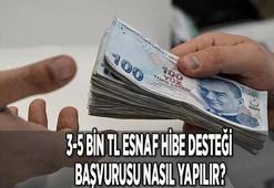 Esnaf hibe desteği başvurusu nasıl yapılır (e-Devlet), kimler alabilir 2021? 5 bin TL hibe desteği TC no sıralaması, ne zaman yatacak?