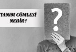 Tanım Cümlesi Nedir? Tanım Cümlesi İle İlgili Örnekler