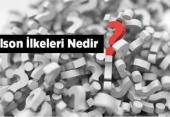 Wilson İlkeleri Nedir? Kısaca Wilson İlkelerinin Maddeleri