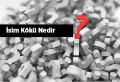 İsim Kökü Nedir? İsim Kökü İle İlgili Örnek Cümleler Nelerdir?